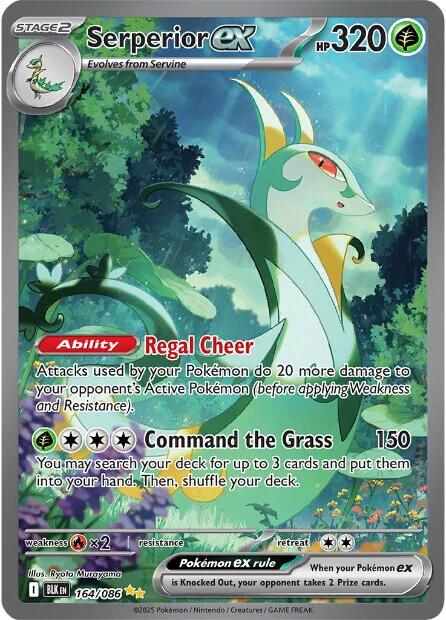Serperior EX BLK EN 164/086